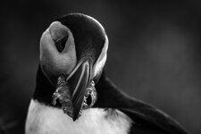 DSC_5407-2.jpg