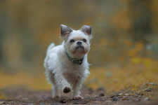 _DSC3699-NEF_web.jpg
