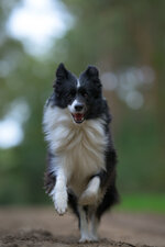 _DSC4010-NEF_web.jpg
