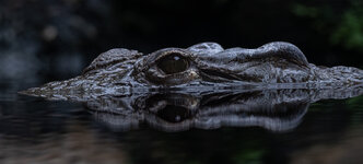 DSCF5373.jpg