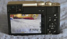L1000965XXL (Copy).jpg