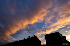 _V0A0680.jpg