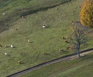 100% Ausschnitt aus 15k - Pano.jpg