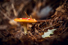 NE-20231104-R6-2235.jpg