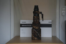 sigma500f4-2.JPG