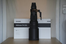sigma500f4-6.JPG