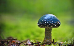 pilz_stack02_1200px.jpg