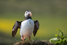 DSC_7205-2.jpg