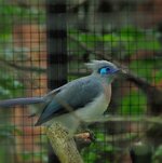 IMG_20210818_223731.jpg