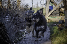 DSC_2407-Verbessert-RR.jpg