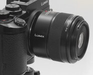 Leica-macro-elmarit-2.8-45mm-14_DxO.jpg