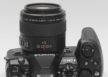 Leica-macro-elmarit-2.8-45mm-16_DxO.jpg