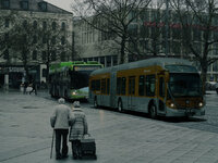 bus3.jpg