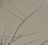 Bildschirmfoto 2.jpg