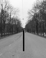 test_85.jpg