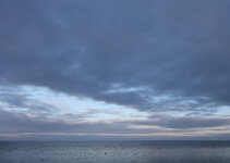 IMG_2281.JPG