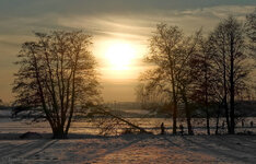 DSC08232 Winter Ludwigsburg 02-2021 klein (2).jpg