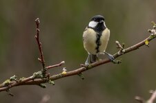 20231128-D75_9970-Verbessert-RR.jpg