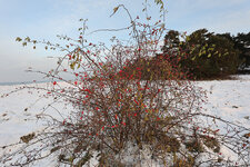 14mmooc_.jpg 14mmooc_.jpg