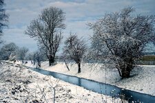 DSC07168 Winter am Ryck 2021 FB.jpg