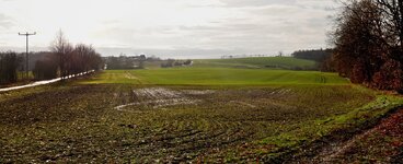 Ernsee mit Kalter_Eiche.jpg