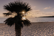 DSCF9284.jpg