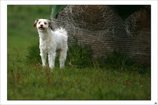 IMG_3238 Kopie.jpg
