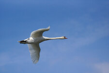 DSC01148.jpg