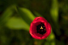 20120417_0056.jpg