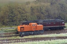 IMG_1922a.jpg