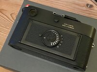 IMG_1038.jpeg