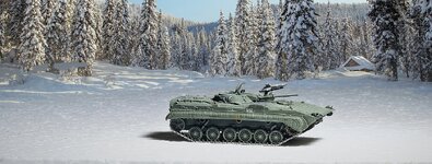 BMP 1 solo vor Hütte.jpg
