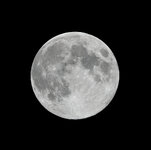 I shot the moon today.jpg