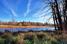 IMG_7938_Dxx.jpg