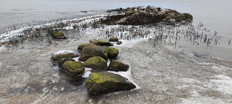 Rocks1.jpg