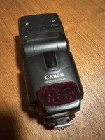 IMG_2490.jpg