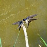 DSC06948_K.jpg