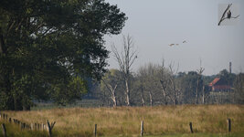 DSC_3899_ebv2.JPG
