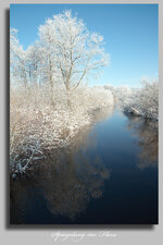Spiegelung im Fluss  .jpg