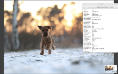 Bildschirmfoto 2024-01-18 um 16.42.32.png
