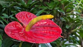 PXL_20240125_100050319.jpg