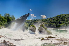 Walsprung-5.jpg