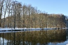 DSC_0339.jpeg