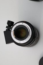R6II0388.JPG