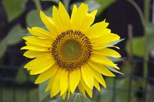 IMG_0325.jpg