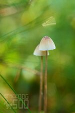 IMG_1618.JPG