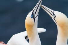 20120430_Pic_040.jpg
