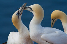 20120430_Pic_041.jpg