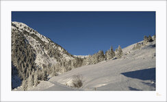 DSC_0399 Bearbeitet.jpg