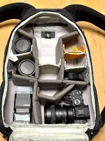 Lowepro ProTactic Rucksack 350 AW II 1.jpeg